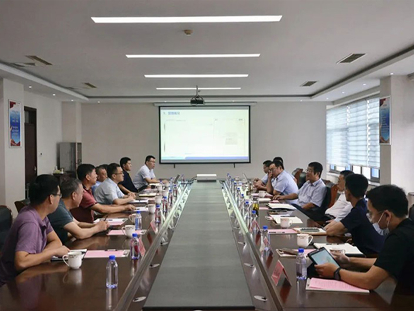 Chairman of Dongfeng Co., Ltd. and his delegation investigat